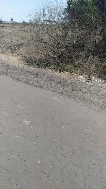 @Avesh Dipak Masane