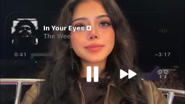 @Mitra  Habibi