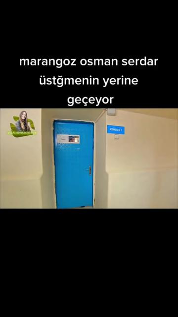 @user97455774664