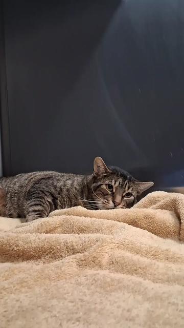 @Bree