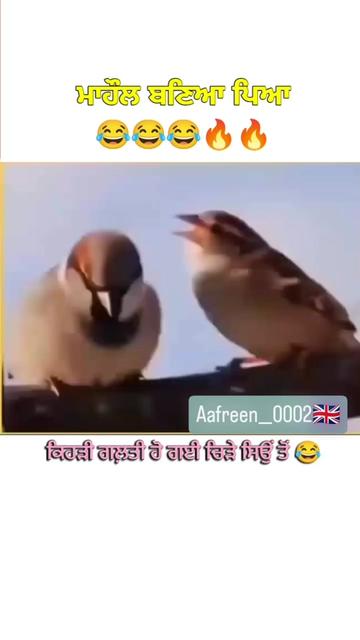 @ਮਿਨਹਾਸ ਰਾਜਪੂਤ