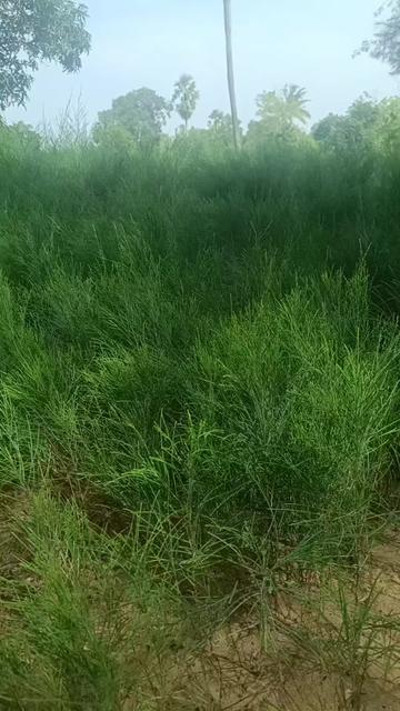 @CHANDRA MOULI. BALLA