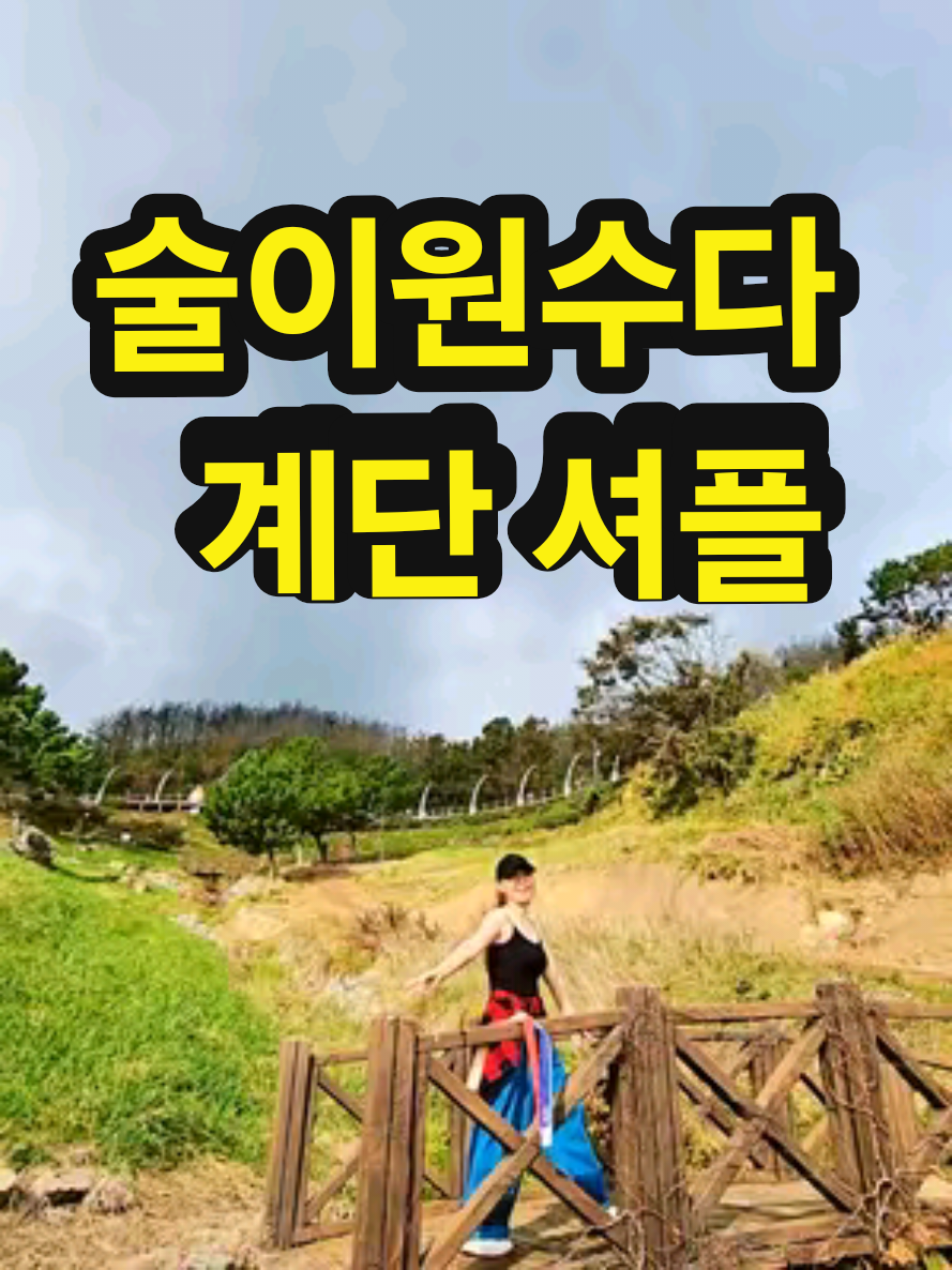 @틱톡왕비