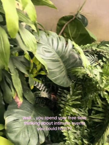 @TaCoia