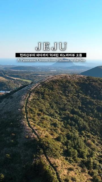 @제주도