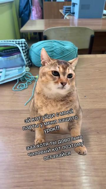 @Кира Глент