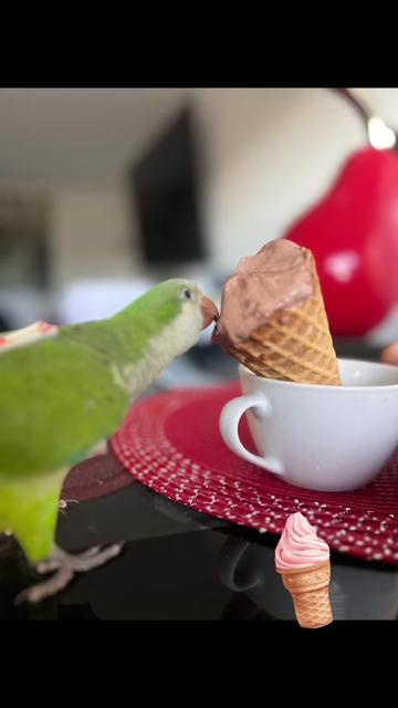 @Charlie🦜