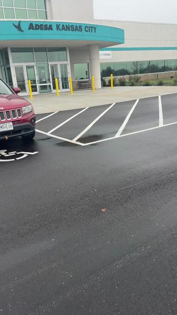 @MS.CEO | Car Dealer