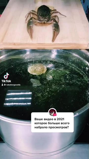 @rakotorgovets