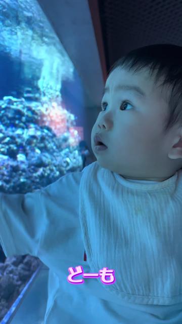 @とらままんち