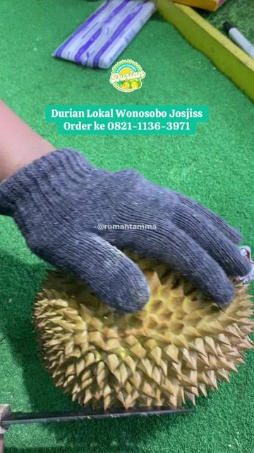 @Rumah Tamma Durian