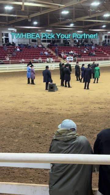 @EightyDollarStables
