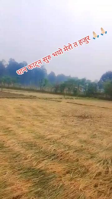 @himanshidhami