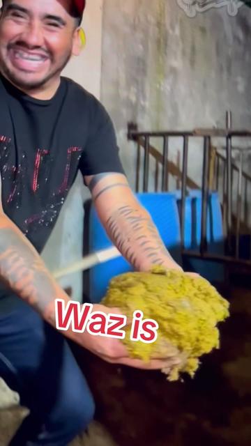 @WiseGize