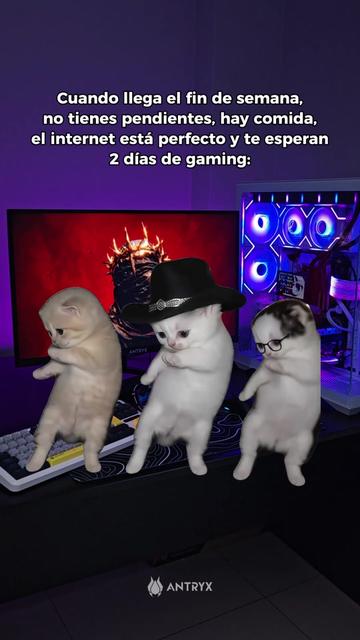@Antryx-Latam