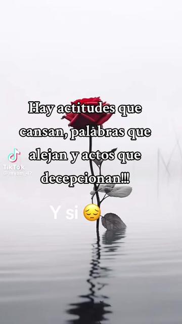 @rosasandoval1010Rosy Sandoval