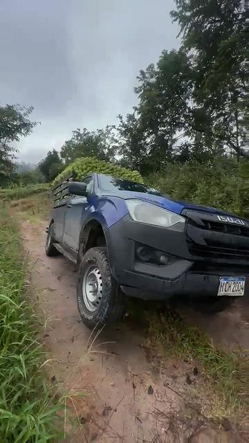 @Club Isuzu Dmax HN