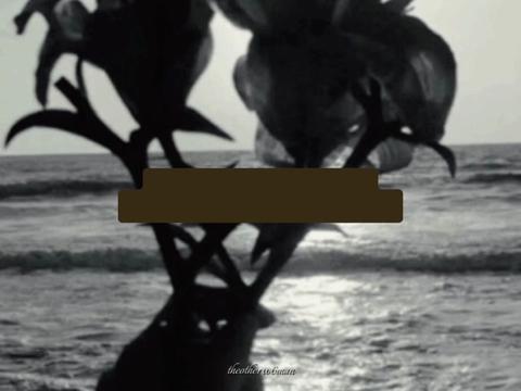 @๐๐๐๐๐๐๐๐๐6๐๐๐: ฬฬโ