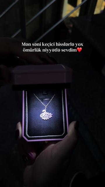 @Gumush_sep_qolbaglar
