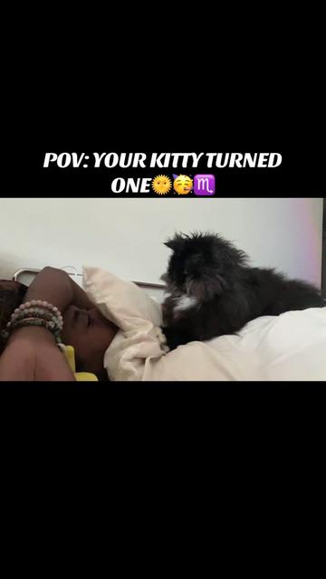 @Emprys$🕴️