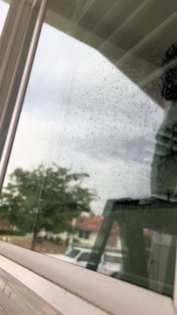 @luxprocleaning