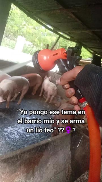 @La cubana Oficial
