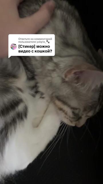 @kaskara_asmr