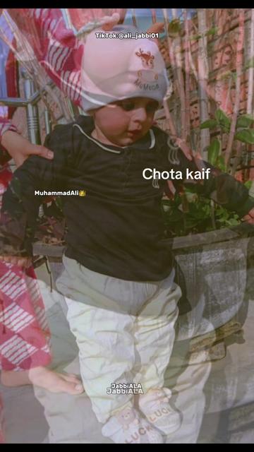 @Mr kaifu82