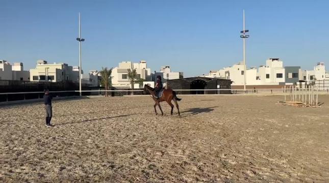@Al Bosta Equestrian