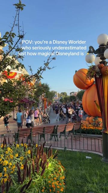 @Rachel 🇬🇧 ➡️ ✨🌴🎢 🇺🇸🐭