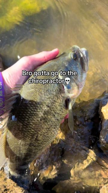 @FattBassFishing