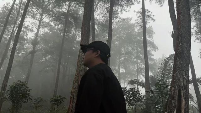 @forestpalofficial