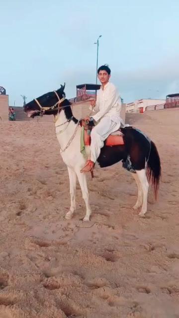 @HK swati 302