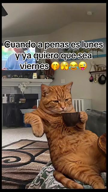@Pedro Cruz