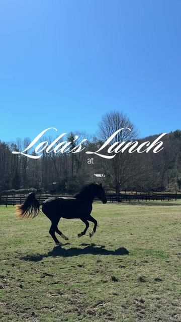 @hiddenhillsequestrian