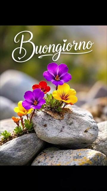 @alessandramarchi726