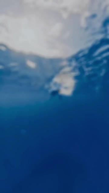 @Venture Wetsuits