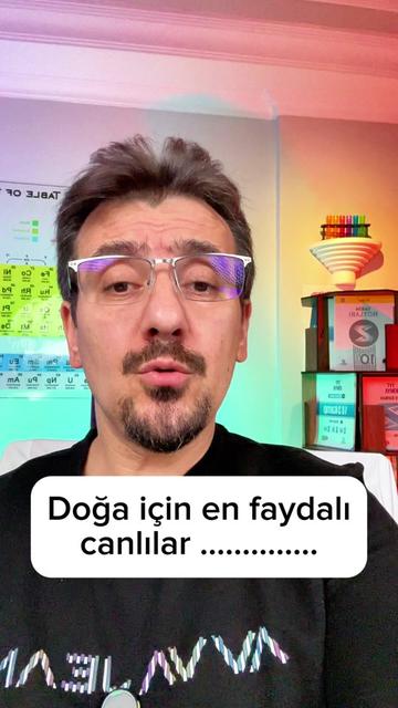@meschemykimya