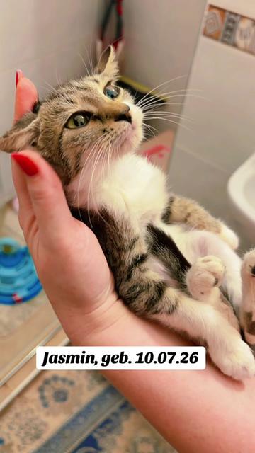 @BluePanther💙