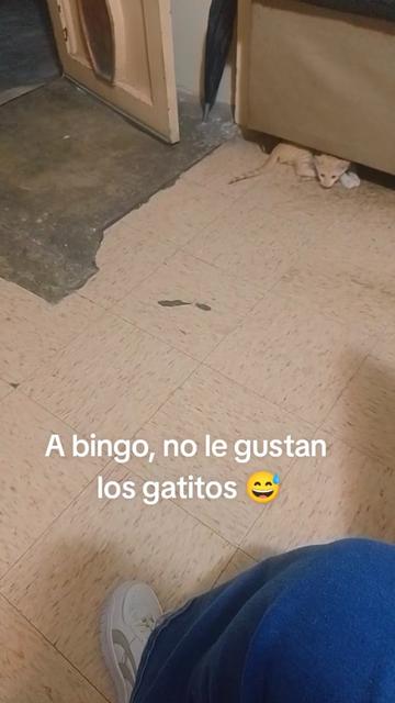 @Carolina cruz