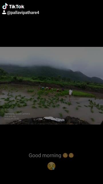 @Pallavi Pathare 1