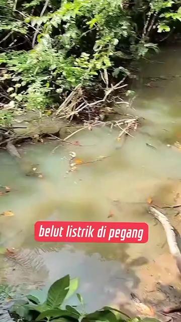 @hendra panji N