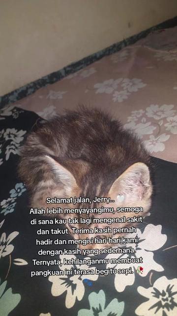 @Lina herlina