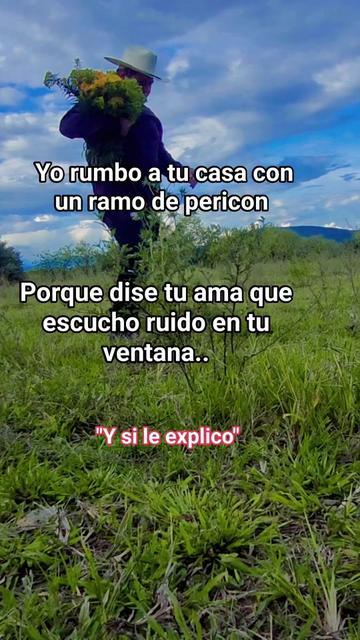 @Pedro salvador