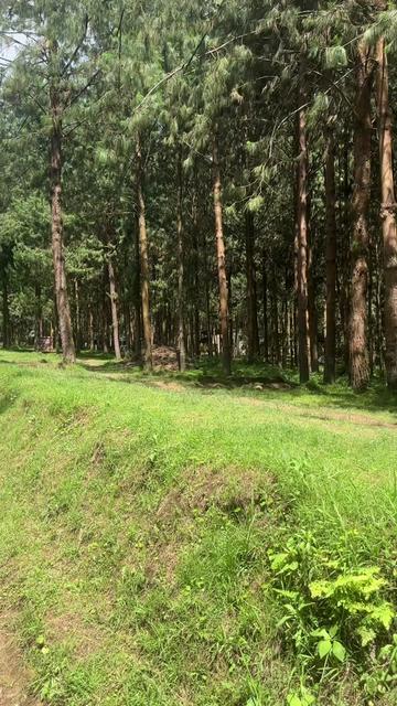 @Carol Ndosi