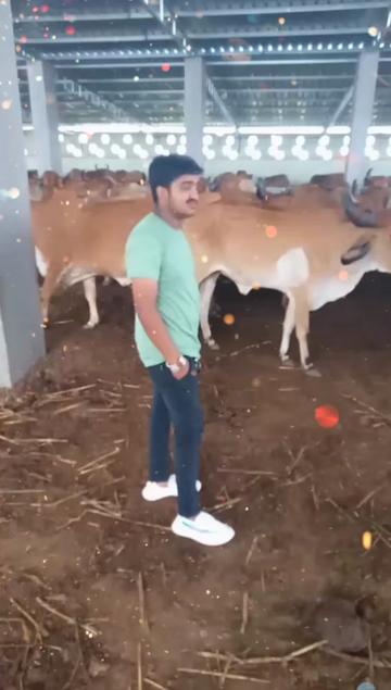 @બાલંભડી નો ભરવાડ