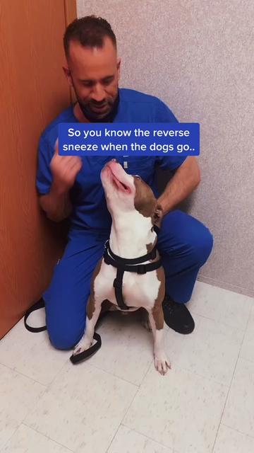 @dr.adam_christman_Veterinarian