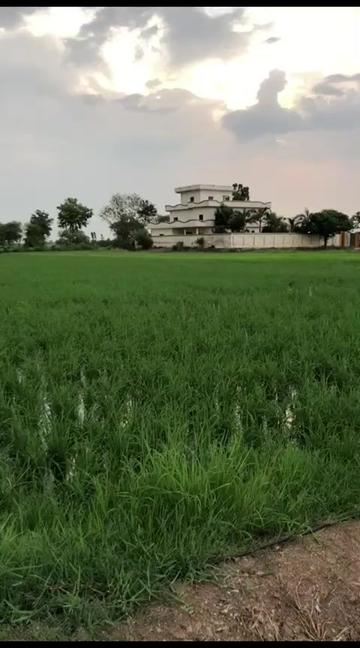 @A.warraich53