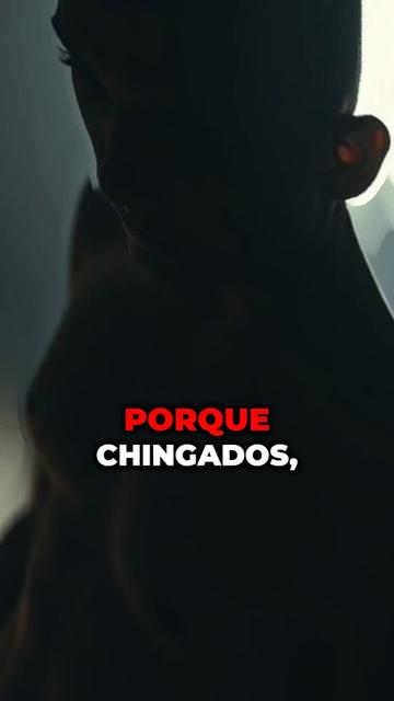 @mundo.desmadre
