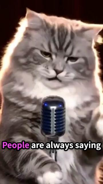 @comedyclubcats